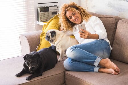 beautiful happy woman sitting on the sofa taking a selfie with her two cute pugs lovely domestic dog - alternative friendship at home - taking a picture or a photo with loveの写真素材