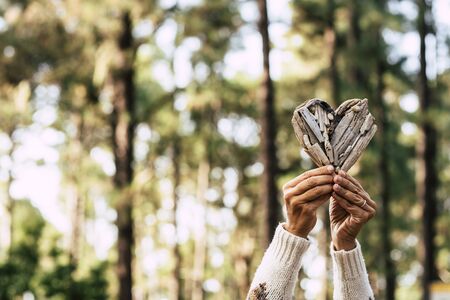 hands of woman holding a wooden heart with at the background a wood or forest - save the forest and change climate concept lifestyleの写真素材