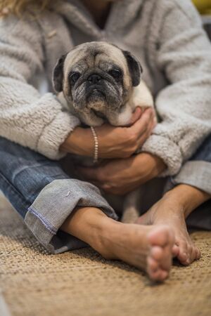 Homan people and dog love concept - adult caucasian woman hug with tenderness her old pug puppy sitting on the floor at home - best friend and friendship home activityの写真素材