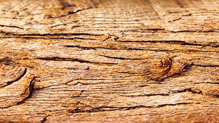 wood texture material design 3d renderingの写真素材