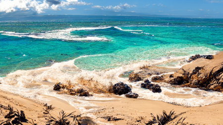 seaside beach landscape illustration imageの写真素材