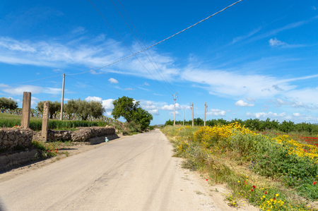 Sicilian Country Road, Caltanissetta, Italy, Europeの写真素材