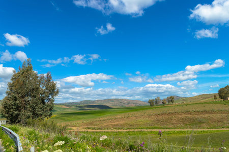 Green Sicilian Hills, Caltanissetta, Italy, Europeの写真素材
