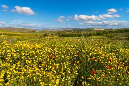 Picturesque Sicilian Scenery, Mazzarino, Caltanissetta, Italy, Europeの写真素材