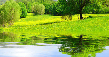 Spring lake and meadow sceneryの写真素材