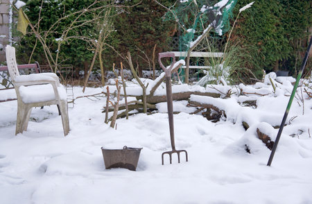 Deep snow in a gardenの写真素材