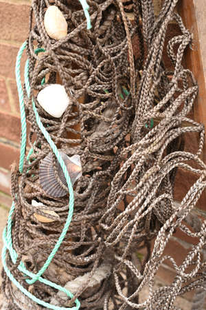 Sea shells caught in old nettingの写真素材
