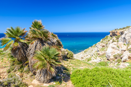 Cala Mesquida - beautiful beach of island Mallorca, Spainの写真素材
