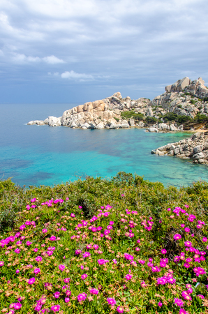 Sardinia - Capo Testa - Beautiful coastの写真素材