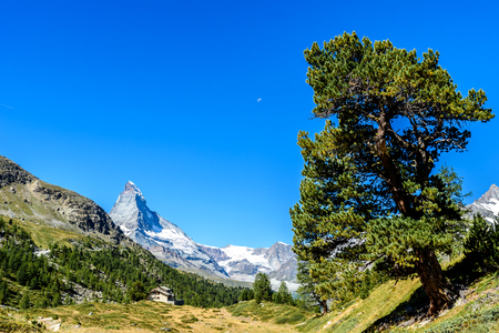 Matterhorn - small village with houses in beautiful landscape of Zermatt, Switzerlandの写真素材
