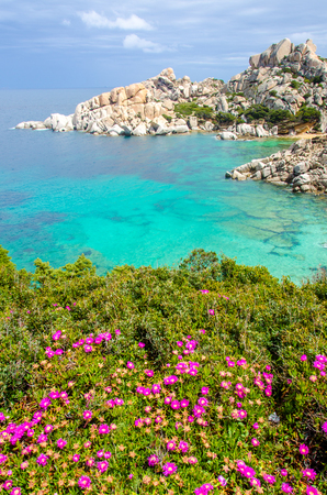 Sardinia - Capo Testa - Beautiful coastの写真素材