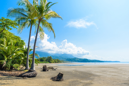 Marino Ballena National Park in Uvita - Punta Uvita - Beautiful beaches and tropical forest at pacific coast of Costa Ricaの写真素材