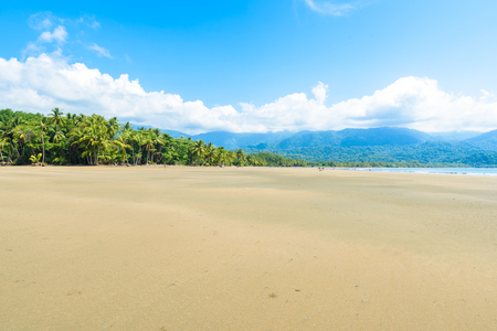 Marino Ballena National Park in Uvita - Punta Uvita - Beautiful beaches and tropical forest at pacific coast of Costa Ricaの写真素材