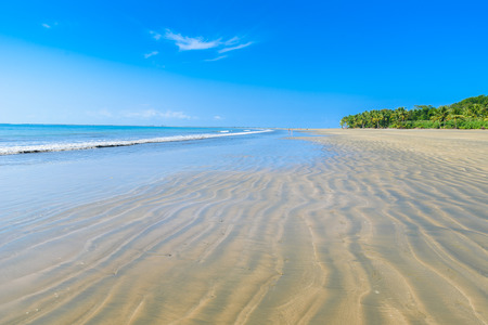 Marino Ballena National Park in Uvita - Punta Uvita - Beautiful beaches and tropical forest at pacific coast of Costa Ricaの写真素材
