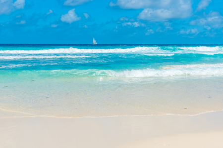 Tropical Grand Anse on island La Digue, Seychellesの写真素材