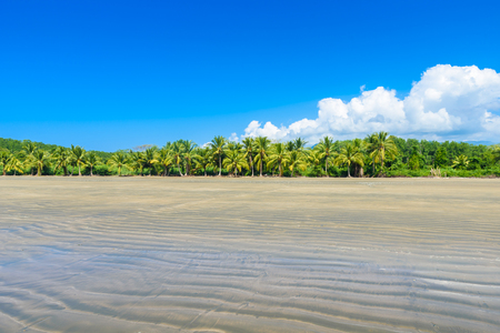 Marino Ballena National Park in Uvita - Punta Uvita - Beautiful beaches and tropical forest at pacific coast of Costa Ricaの写真素材