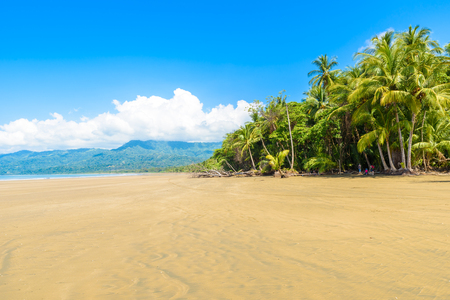 Marino Ballena National Park in Uvita - Punta Uvita - Beautiful beaches and tropical forest at pacific coast of Costa Ricaの写真素材