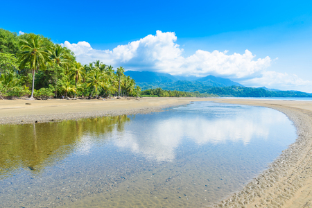 Marino Ballena National Park in Uvita - Punta Uvita - Beautiful beaches and tropical forest at pacific coast of Costa Ricaの写真素材