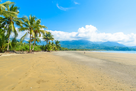 Marino Ballena National Park in Uvita - Punta Uvita - Beautiful beaches and tropical forest at pacific coast of Costa Ricaの写真素材