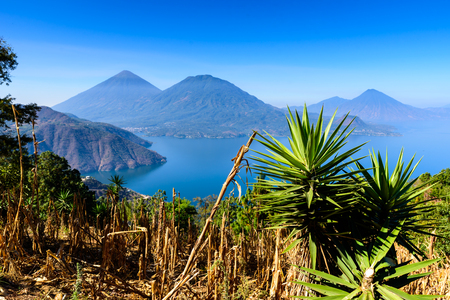 Panorama view of the lake Atitlan and volcanos  in the highlands of Guatemalaの写真素材