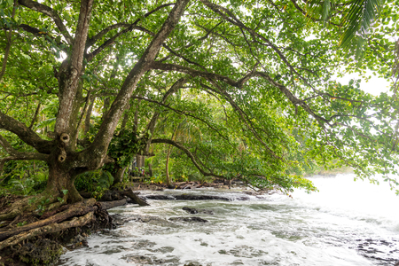 Cahuita - Nationalpark with beautiful beaches and rainforest in Costa Ricaの写真素材