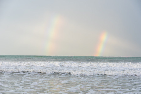 Cahuita - Nationalpark with beautiful beaches and rainforest in Costa Ricaの写真素材