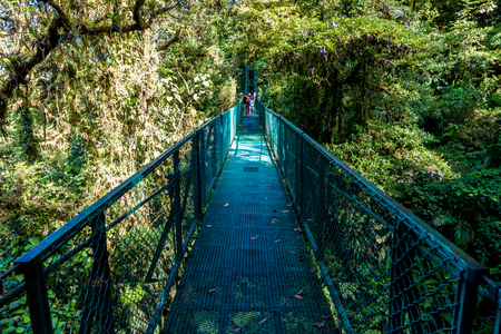 Hanging Bridges in Cloudforest - Monteverde, Costa Ricaの写真素材