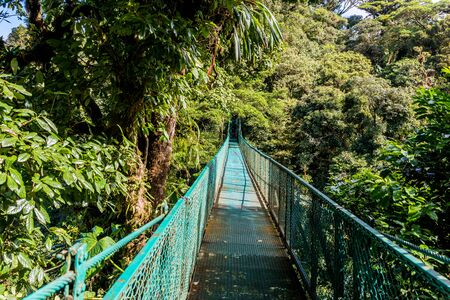 Hanging Bridges in Cloudforest - Monteverde, Costa Ricaの写真素材