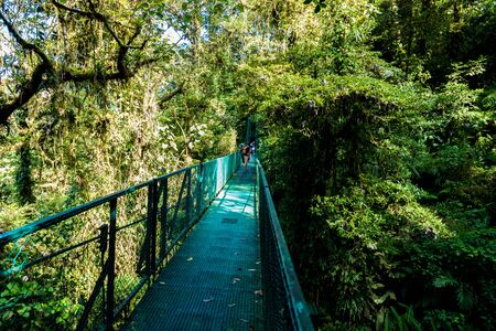 Hanging Bridges in Cloudforest - Monteverde, Costa Ricaの写真素材