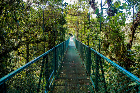 Hanging Bridges in Cloudforest - Monteverde, Costa Rica