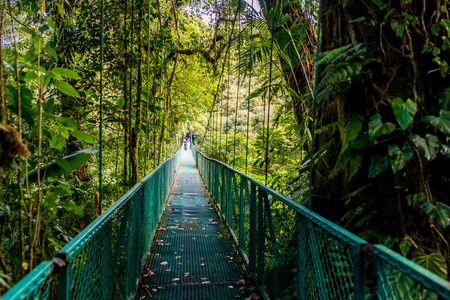Hanging Bridges in Cloudforest - Costa Ricaの写真素材