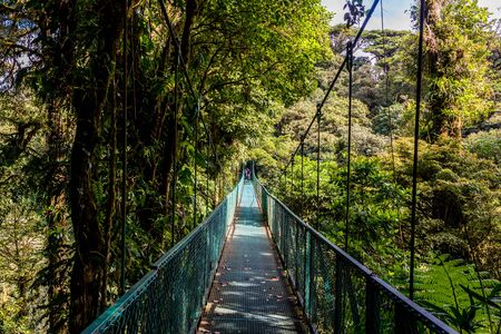 Hanging Bridges in Cloudforest - Costa Ricaの写真素材
