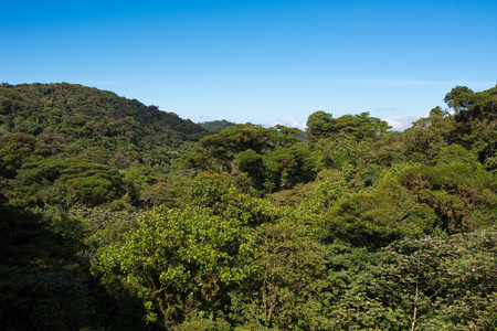 Hanging Bridges in Cloudforest - Monteverde, Costa Ricaの写真素材