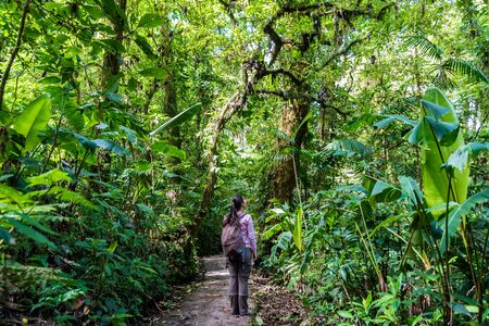 Girl on hanging bridge in cloudforest - Monteverde, Costa Ricaの写真素材