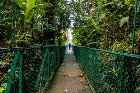 Girl on hanging bridge in cloudforest - Monteverde, Costa Ricaの写真素材