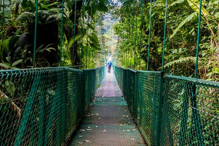 Hanging Bridges in Cloudforest - Monteverde, Costa Ricaの写真素材