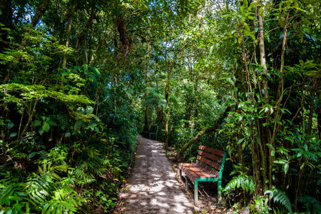 Hanging Bridges in Cloudforest - Monteverde, Costa Rica