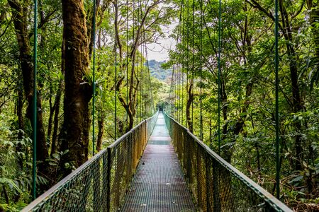 Hanging Bridges in Cloudforest - Monteverde, Costa Ricaの写真素材