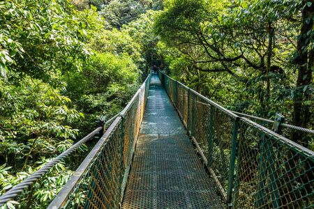 Hanging Bridges in Cloudforest - Costa Ricaの写真素材