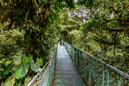 Hanging Bridges in Cloudforest - Monteverde, Costa Ricaの写真素材
