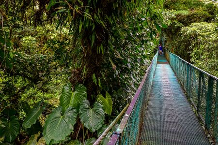 Hanging Bridges in Cloudforest - Costa Ricaの写真素材