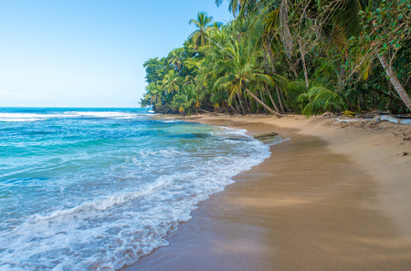 Paradise wild beach of Manzanillo Park in Costa Ricaの写真素材