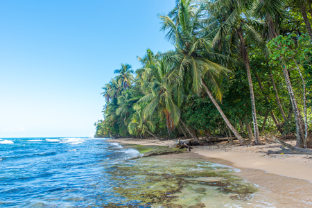 Paradise wild beach of Manzanillo Park in Costa Ricaの写真素材