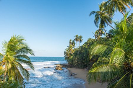 Wild caribbean beach of Manzanillo at Puerto Viejo, Costa Ricaのeditorial素材