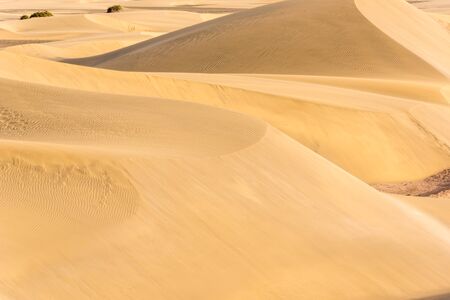 Desert - beautiful landscape with sand dunesの写真素材