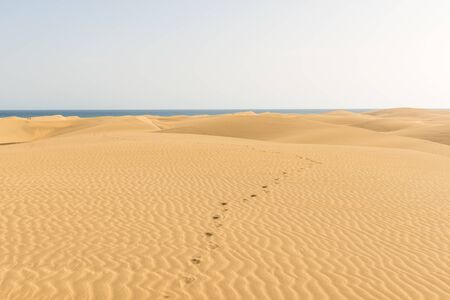 Desert with sand dunes in Gran Canaria, Spainの写真素材