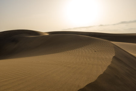 Desert with sand dunes in Gran Canaria, Spainの写真素材