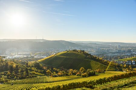 Vineyards at Stuttgart - beautiful wine region in the south of Germanyの写真素材