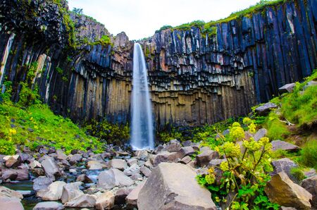 Svartifoss Waterfall in Icelandの写真素材