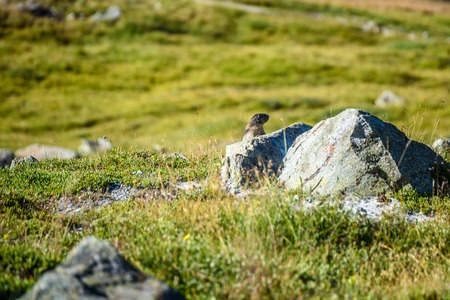 Beautiful City Puerto Mogan in Gran Canaria - Spainの写真素材
